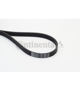 CON6PK1698 - 6PK1698