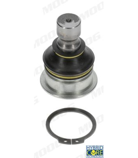 MOONIBJ4954 - NI-BJ-4954