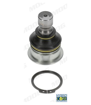 MOONIBJ4954 - NI-BJ-4954