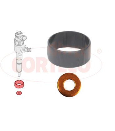 COR49445012 - 49445012