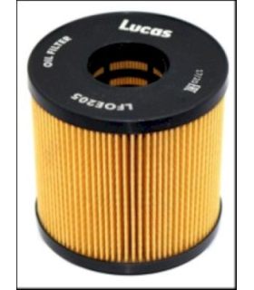 LUCLFOE205 - LFOE205