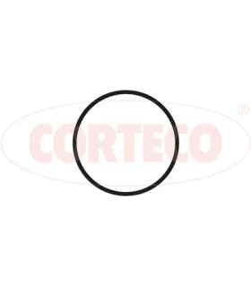 COR450356P - 450356P