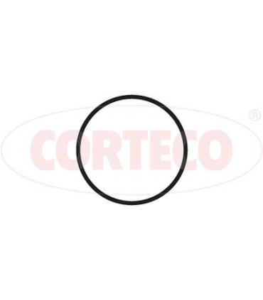 COR450356P - 450356P