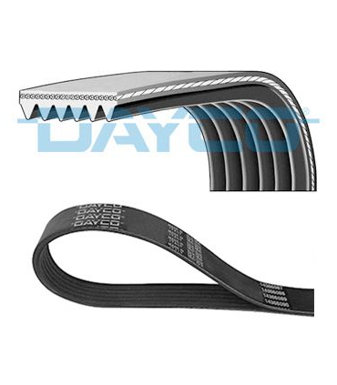 DAY6PK1700 - 6PK1700