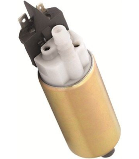 MAG313011300031 - 313011300031