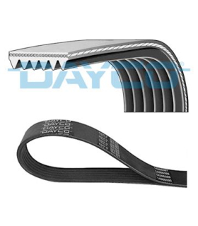 DAY6PK1115 - 6PK1115