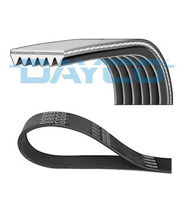 DAY6PK1115 - 6PK1115