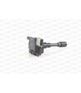 OPEIGN1041.00 - IGN1041.00