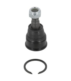 MOOHOBJ10556 - HO-BJ-10556