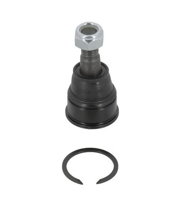 MOOHOBJ10556 - HO-BJ-10556