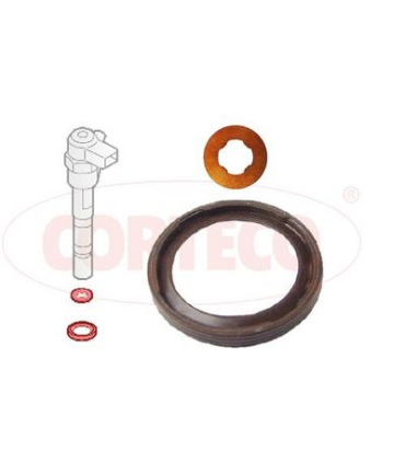 COR49445016 - 49445016