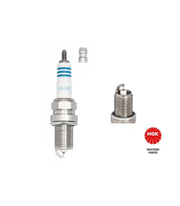 NGK1498 - 1498