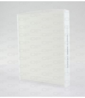 OPECAF2021.01 - CAF2021.01