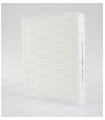 OPECAF2021.01 - CAF2021.01